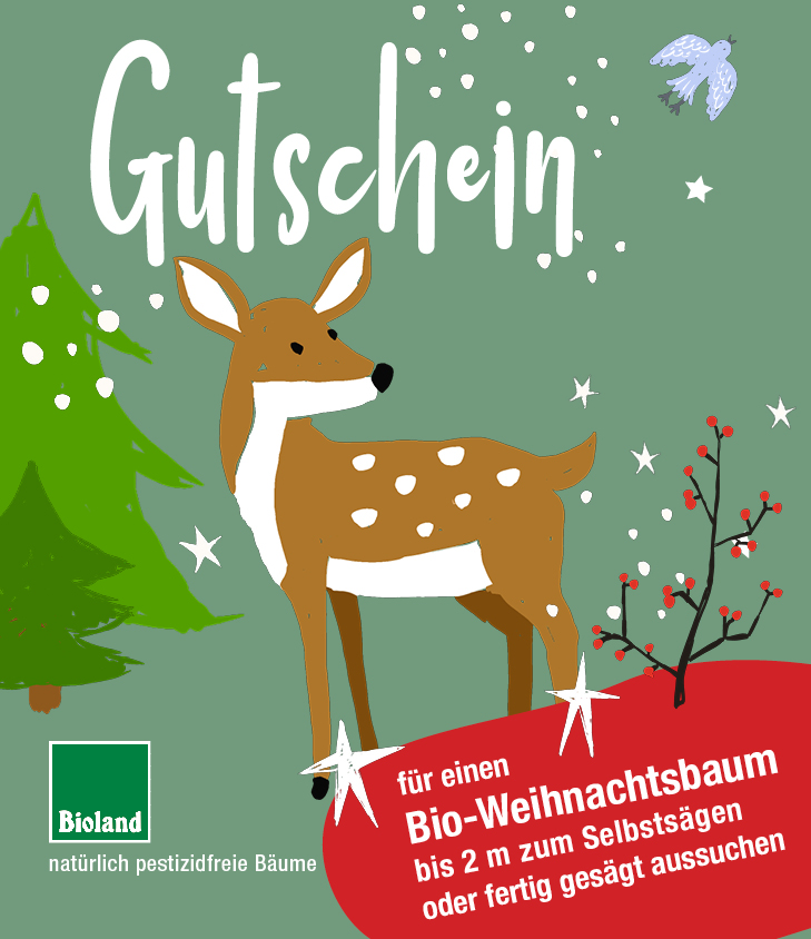 Gutschein Dummy